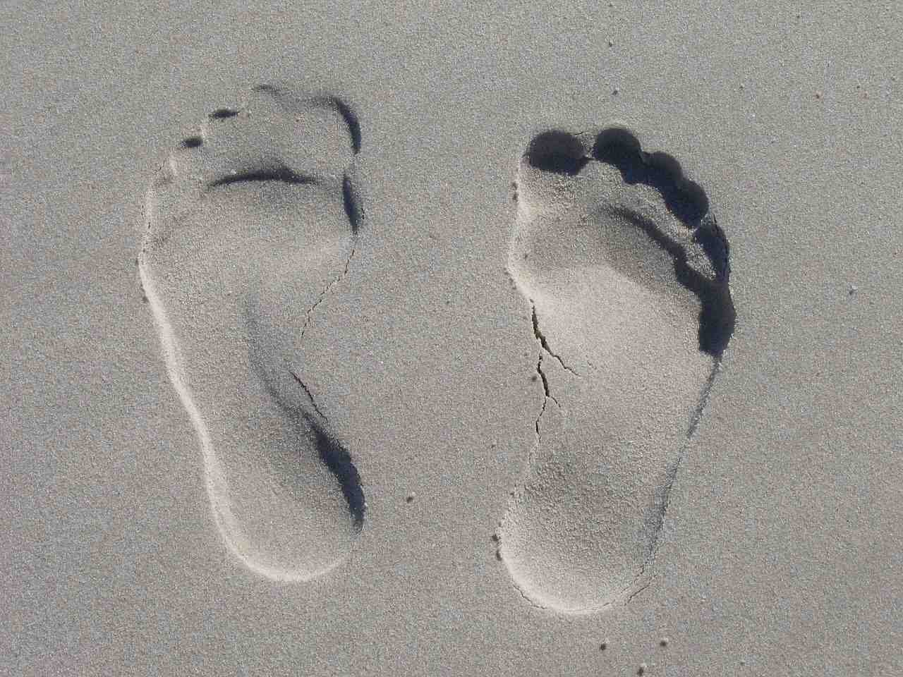 sable, réimpression, pieds